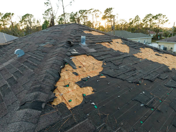 Best Cold Roofs  in Sulphur Springs, TX