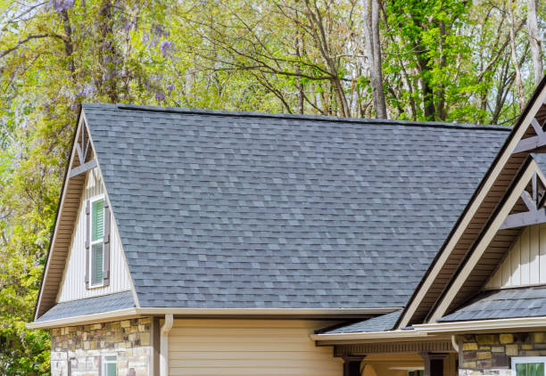 Best Roof Moss and Algae Removal  in Sulphur Springs, TX